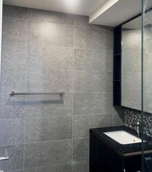 The Antares (D14), Apartment #480266351